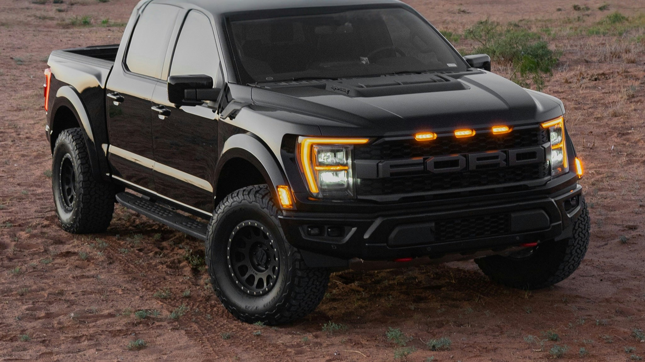 Ford F-150 Offroad Adjustable Arms