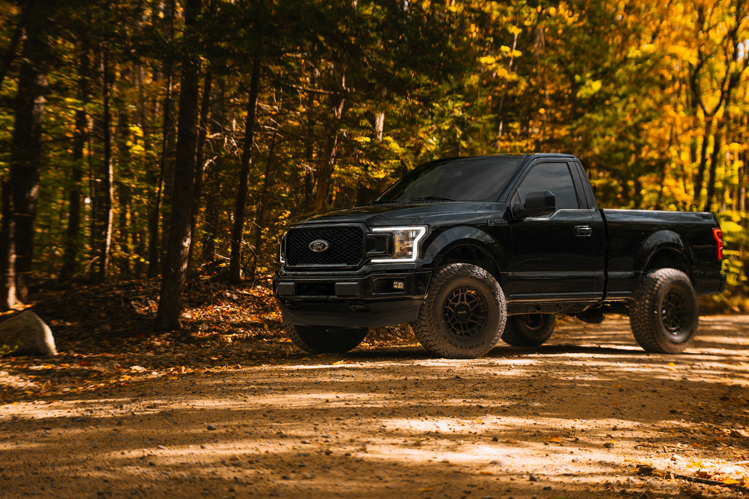 Ford F-150 Offroad Coilovers and Shocks
